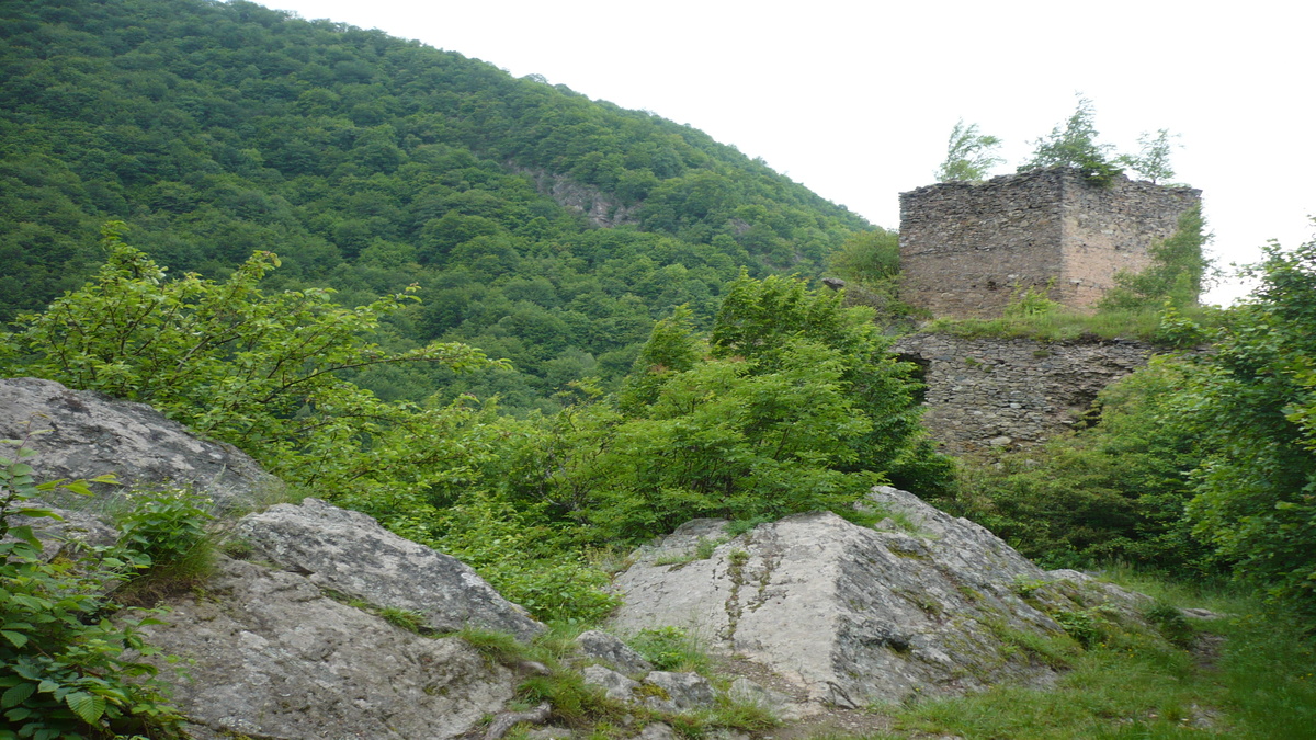 Cetatea Colț, Țara Hațegului, România. FOTO: Grig Bute (Ora de Turism)