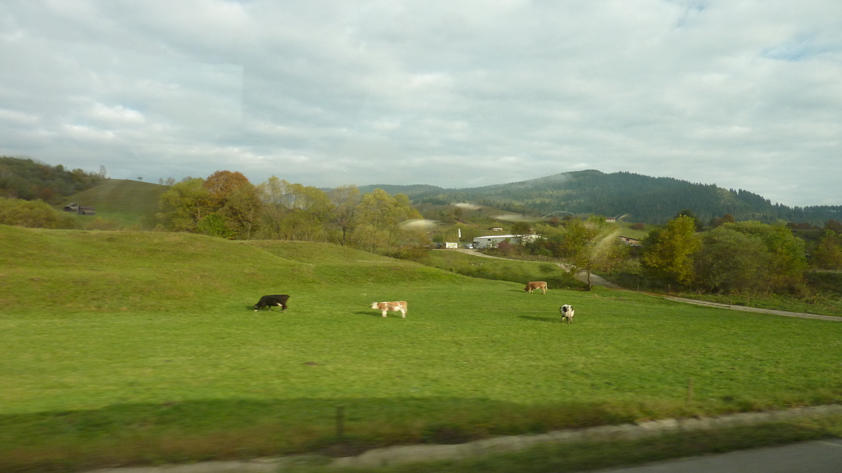 Bucovina, România. FOTO: Grig Bute (Ora de Turism)