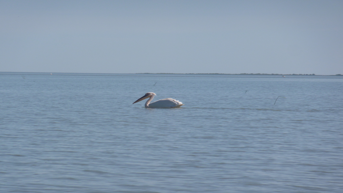 Sulina, județul Tulcea, România. FOTO: Grig Bute (Ora de Turism)