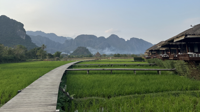 Laos - Campuri_de_orez,_Vang_Vieng edit